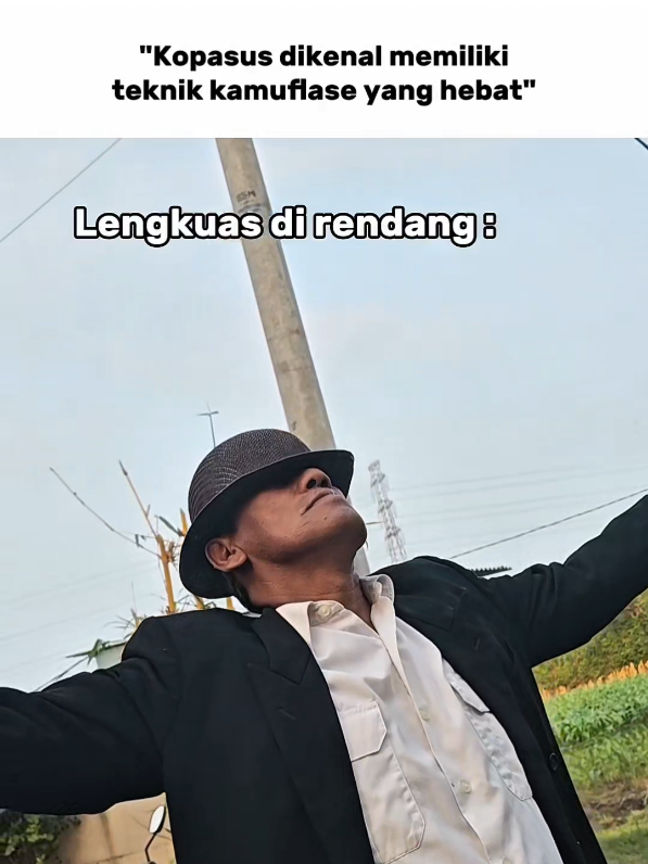 @Erpang 1945
