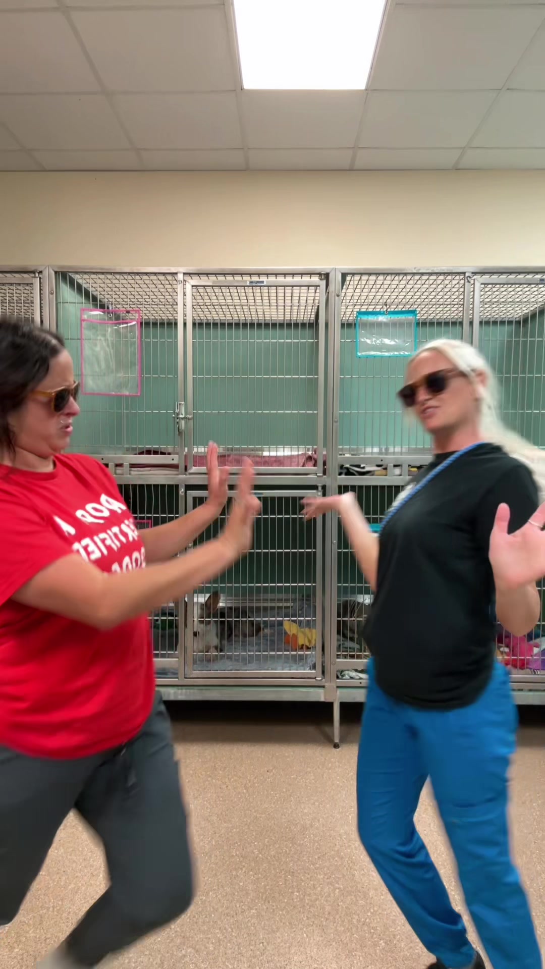 @2vettechs