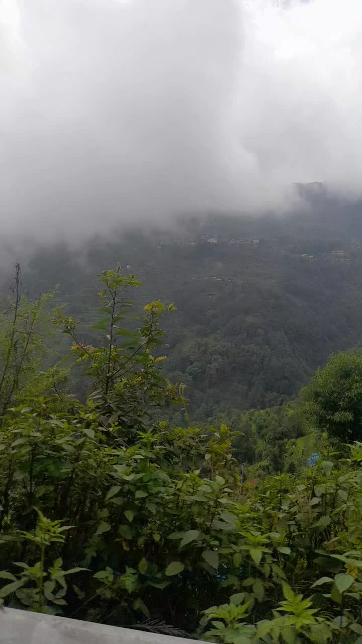 @Anupama vats