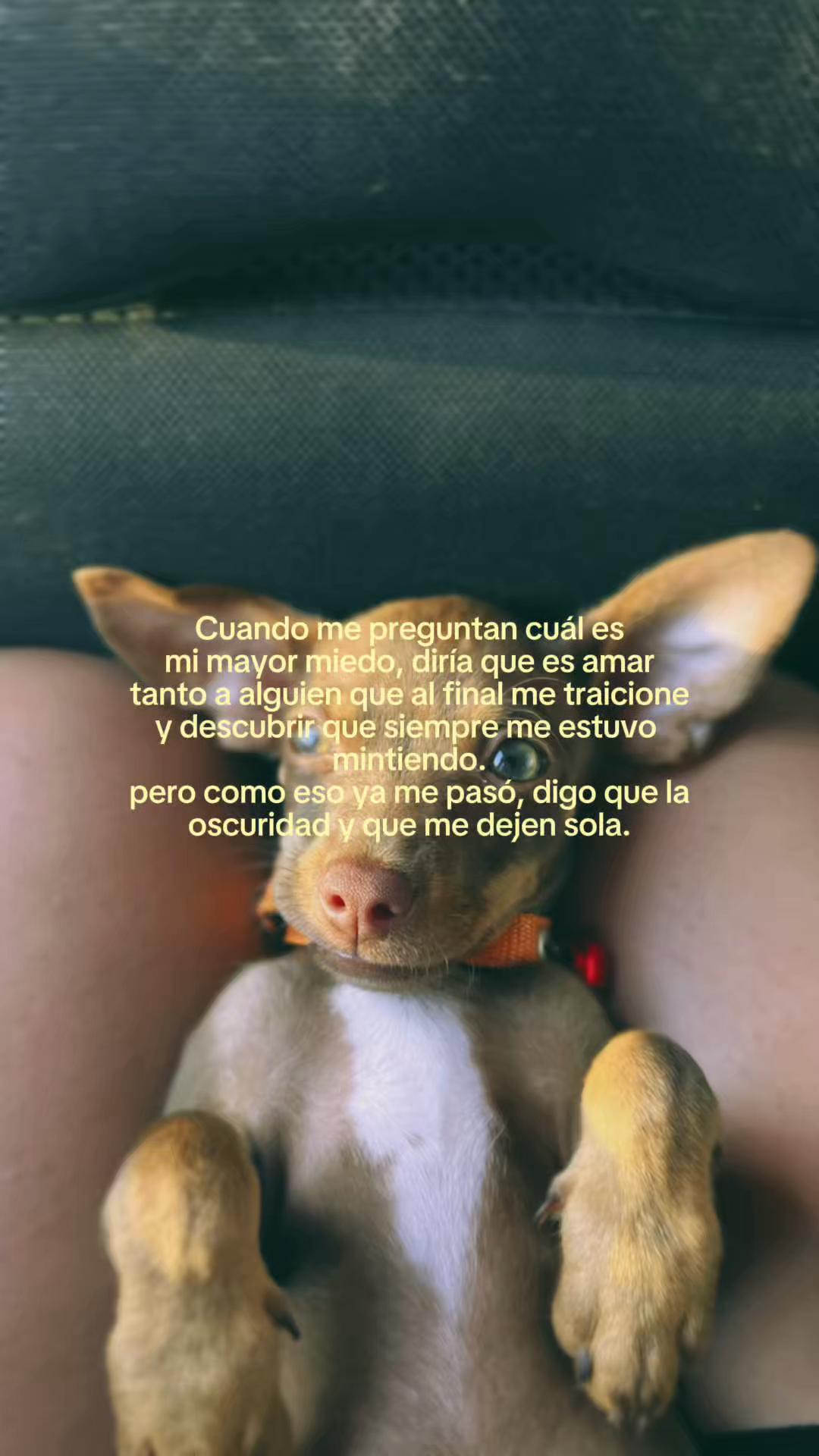 @nathalianoemi7