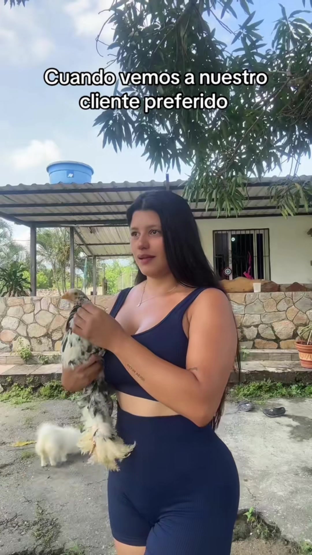 @Granjamascotalandiayaracuy