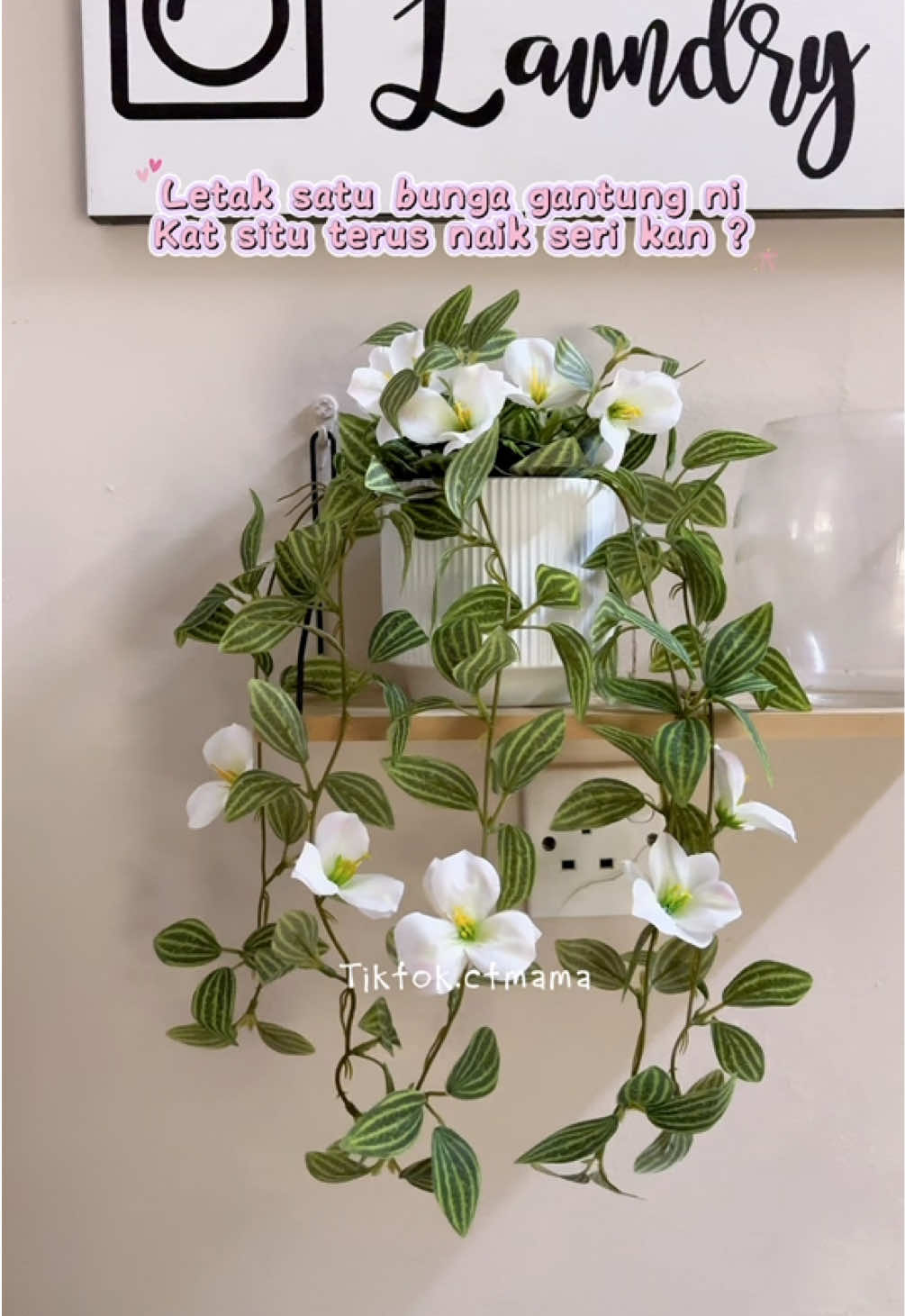 @✿ Ct_MaMa | Affiliate ❤︎