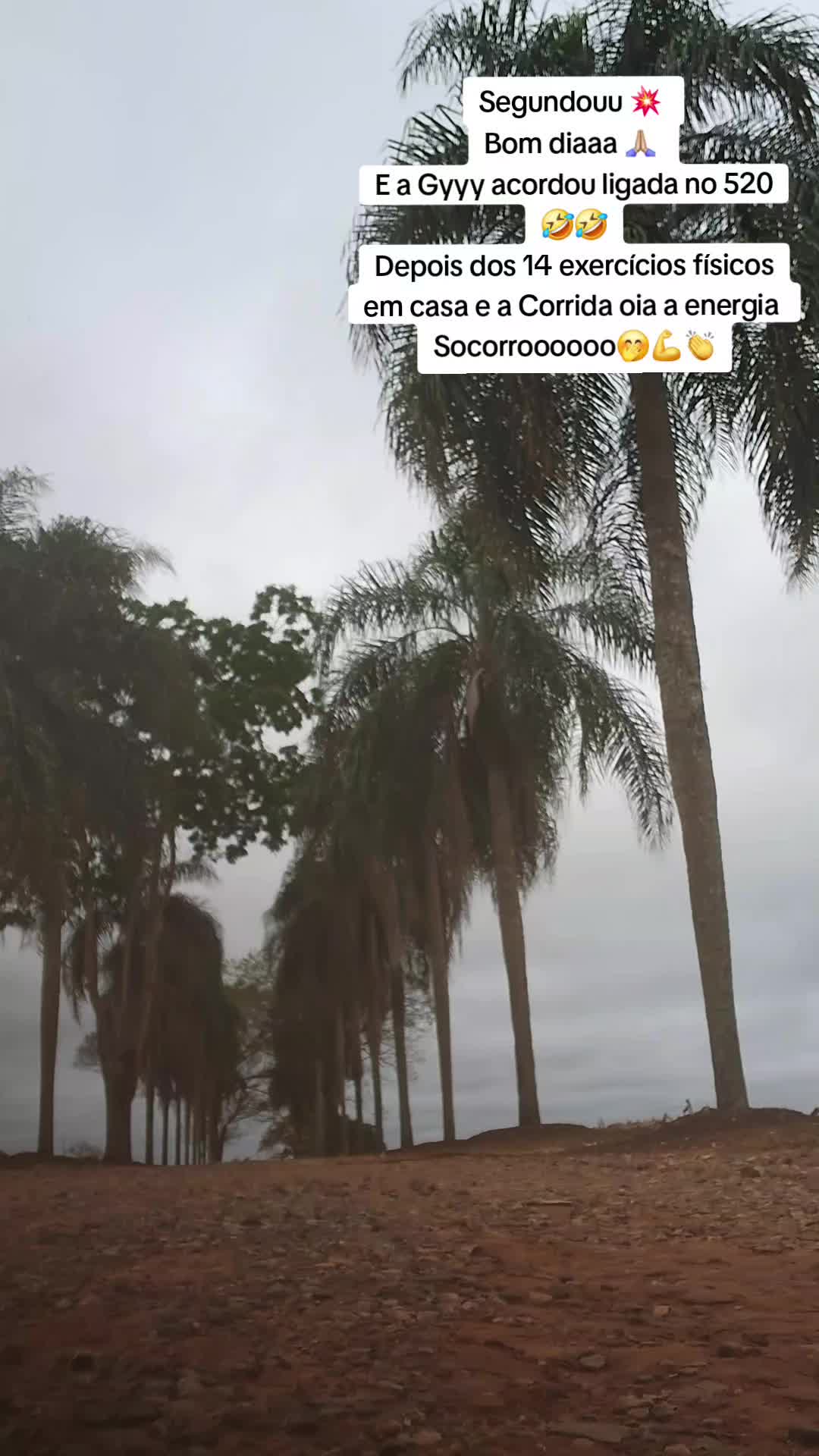 @Gi Bueno