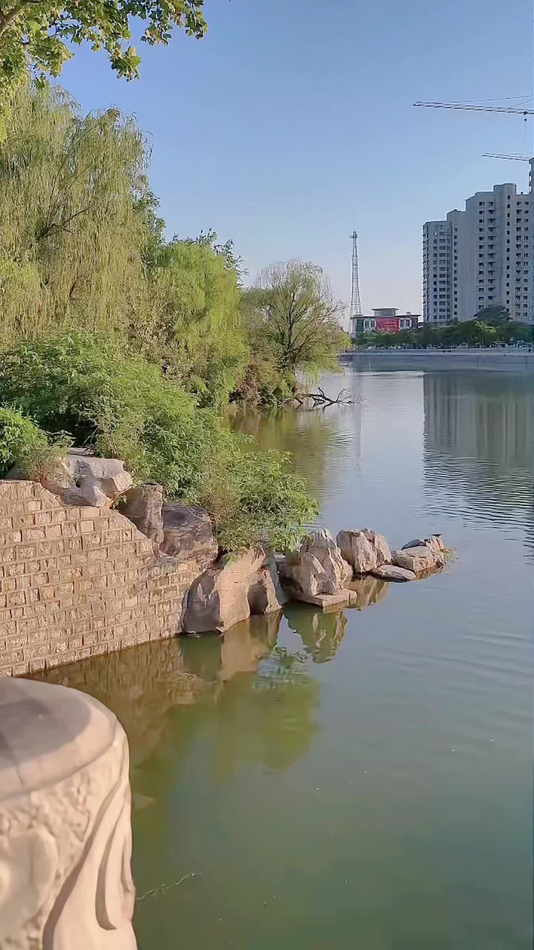 @lrdgdwxpq03212