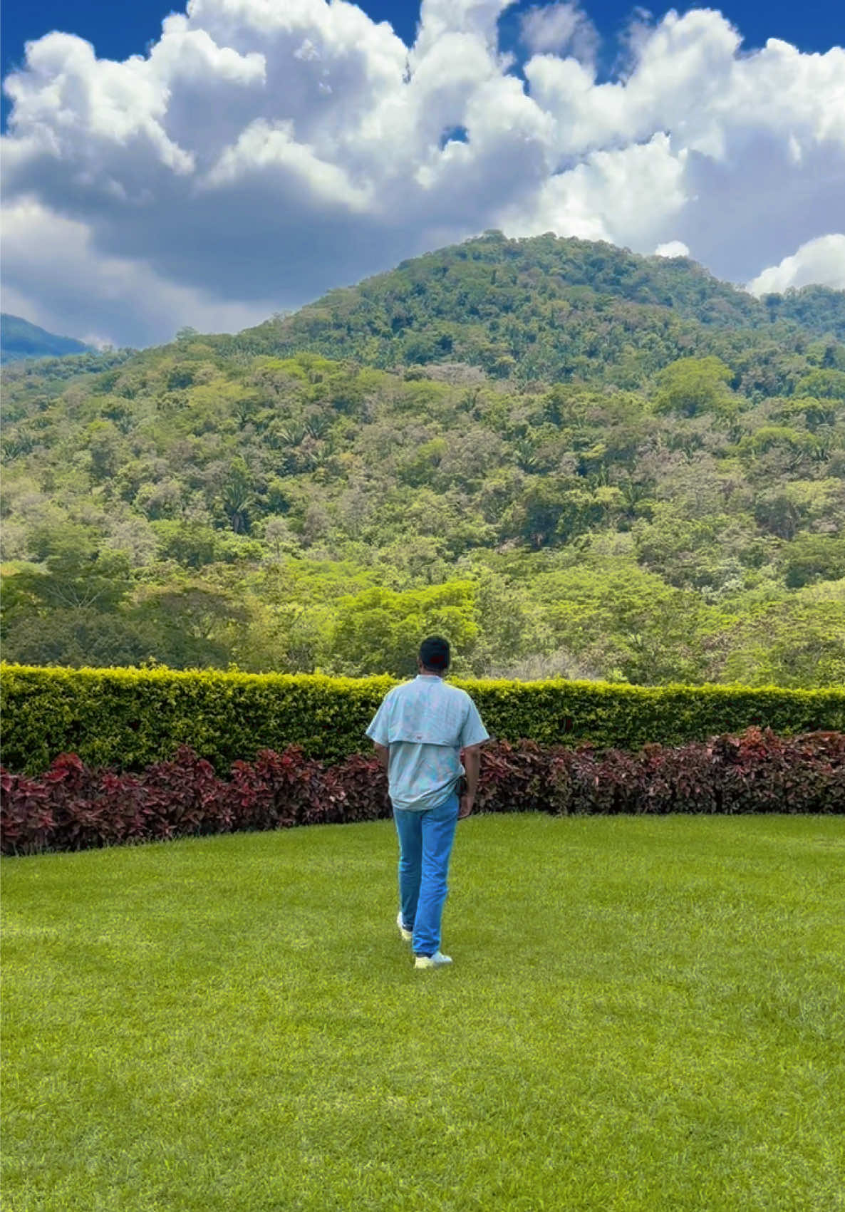 @🌿Verónica de Castellanos🌿