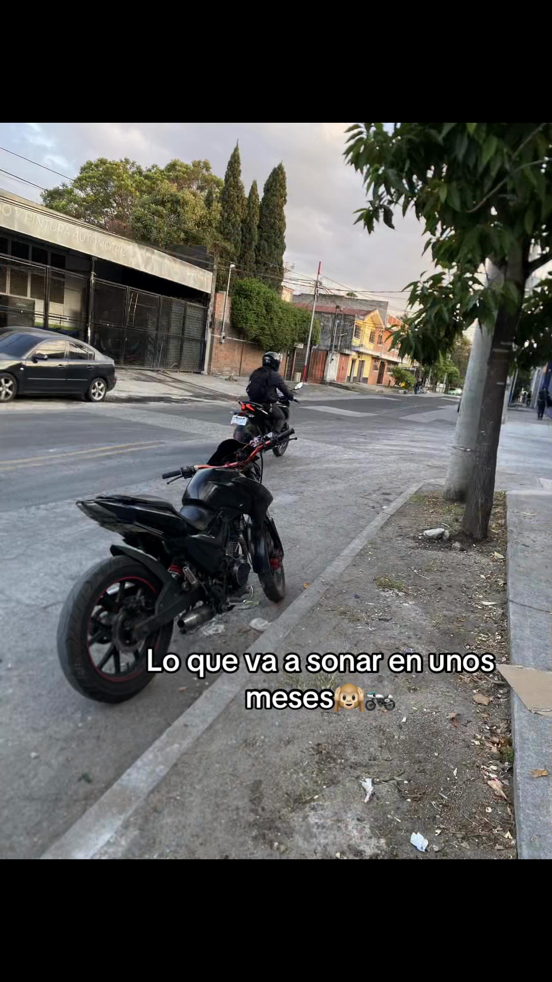 @EL PANTERA