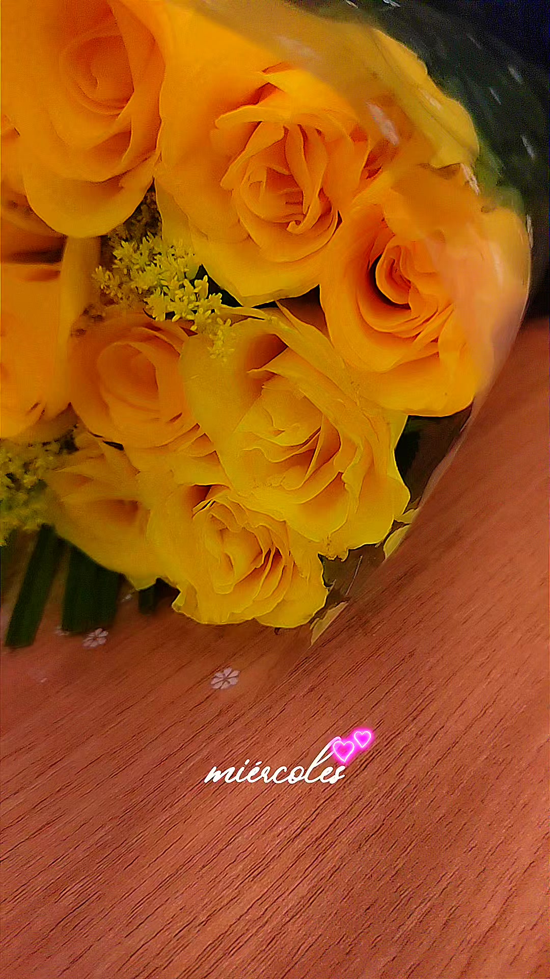 @Isis🌻