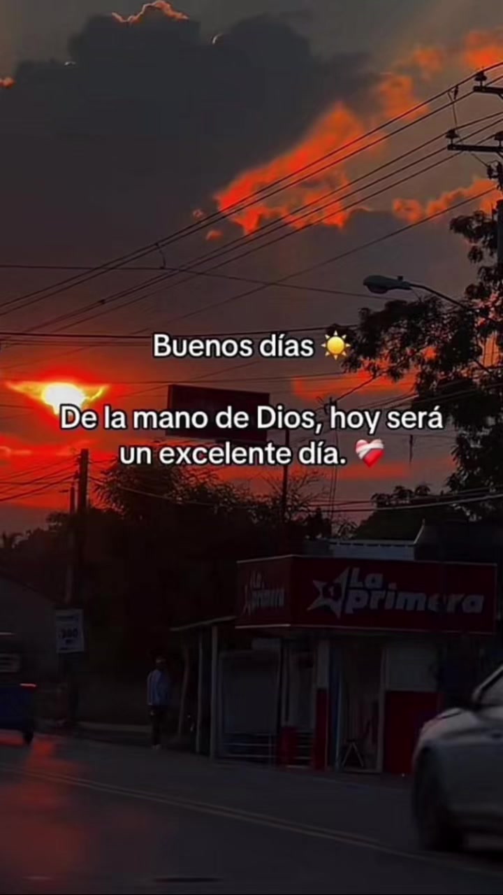 @Antonio SEGA🇲🇽