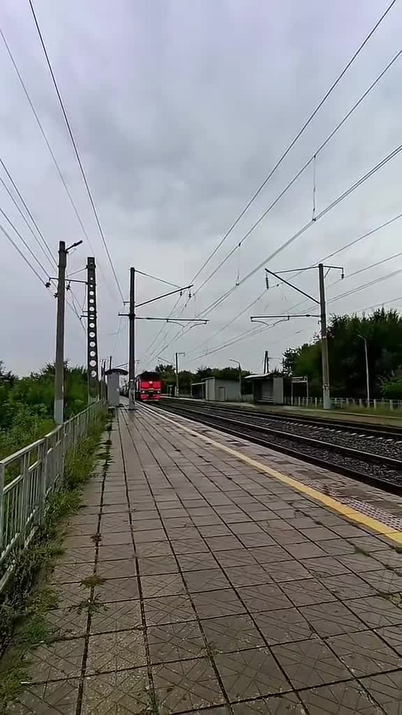 @ПСЫЖ_НАСТОЯЩИ