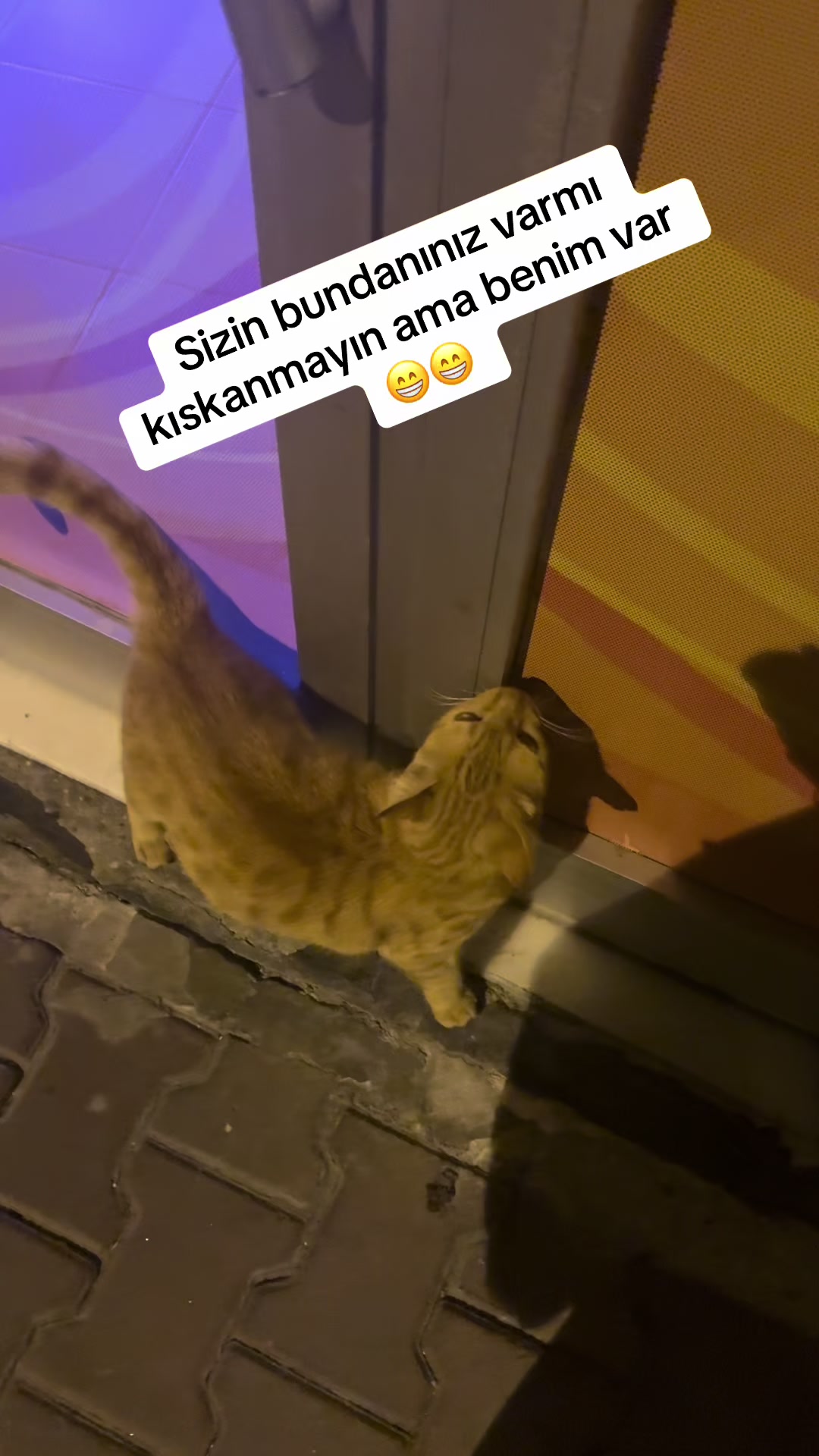 @Emine Yılmaz