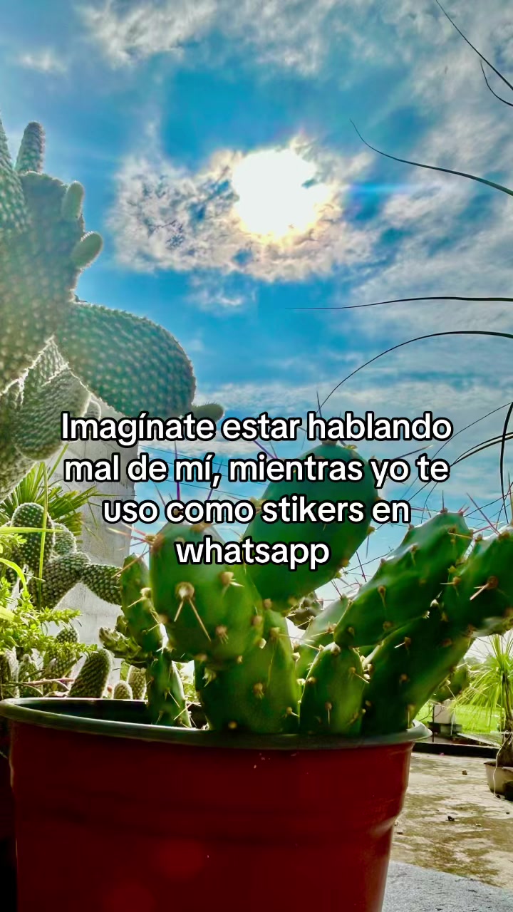 @K I K E C A I C E R O S