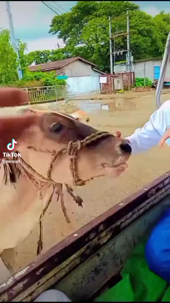 @user6952965670397