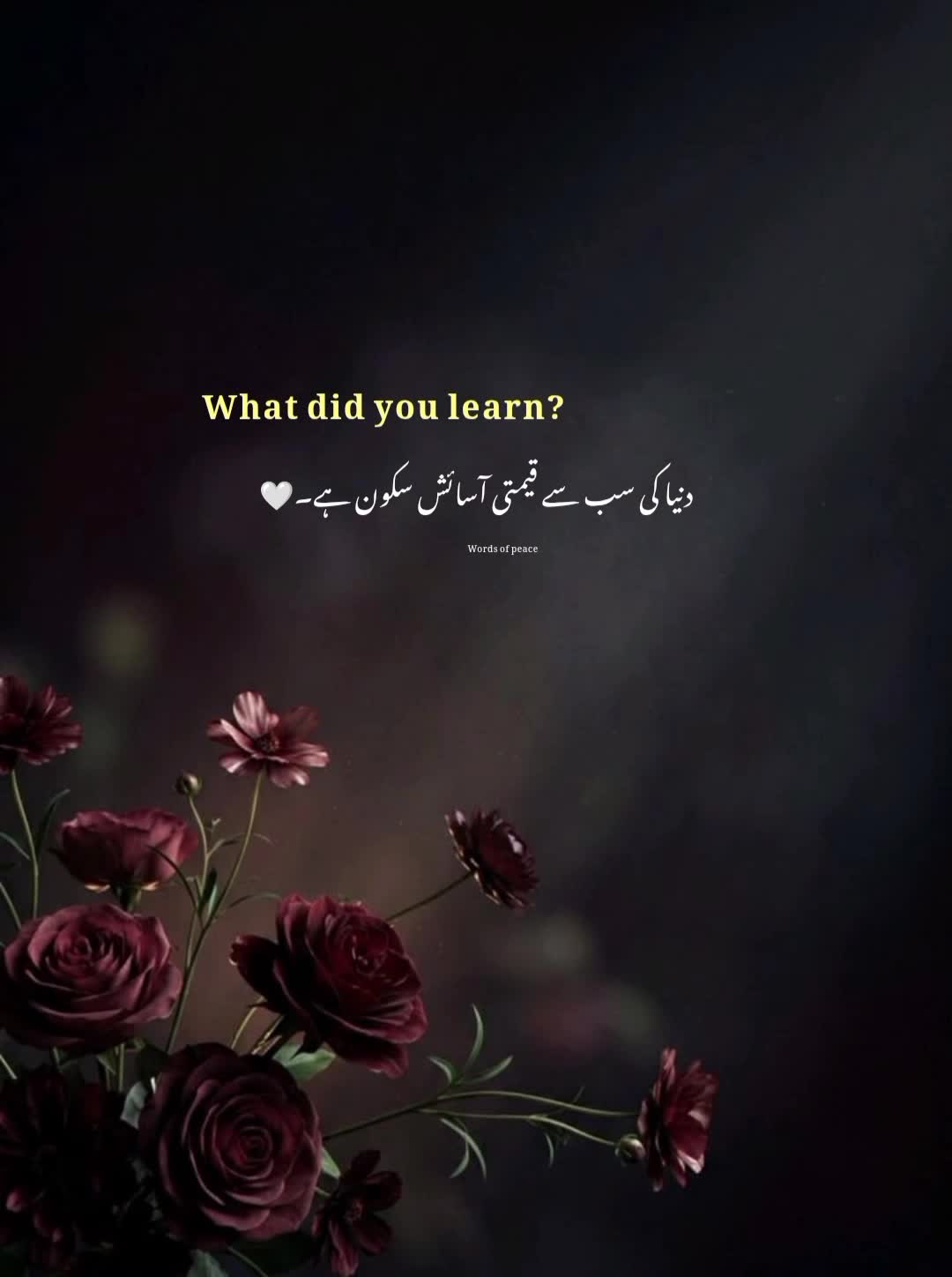 @قلم کی نمی🥀