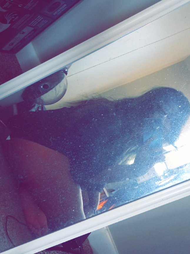 @XenoCheloEnParo