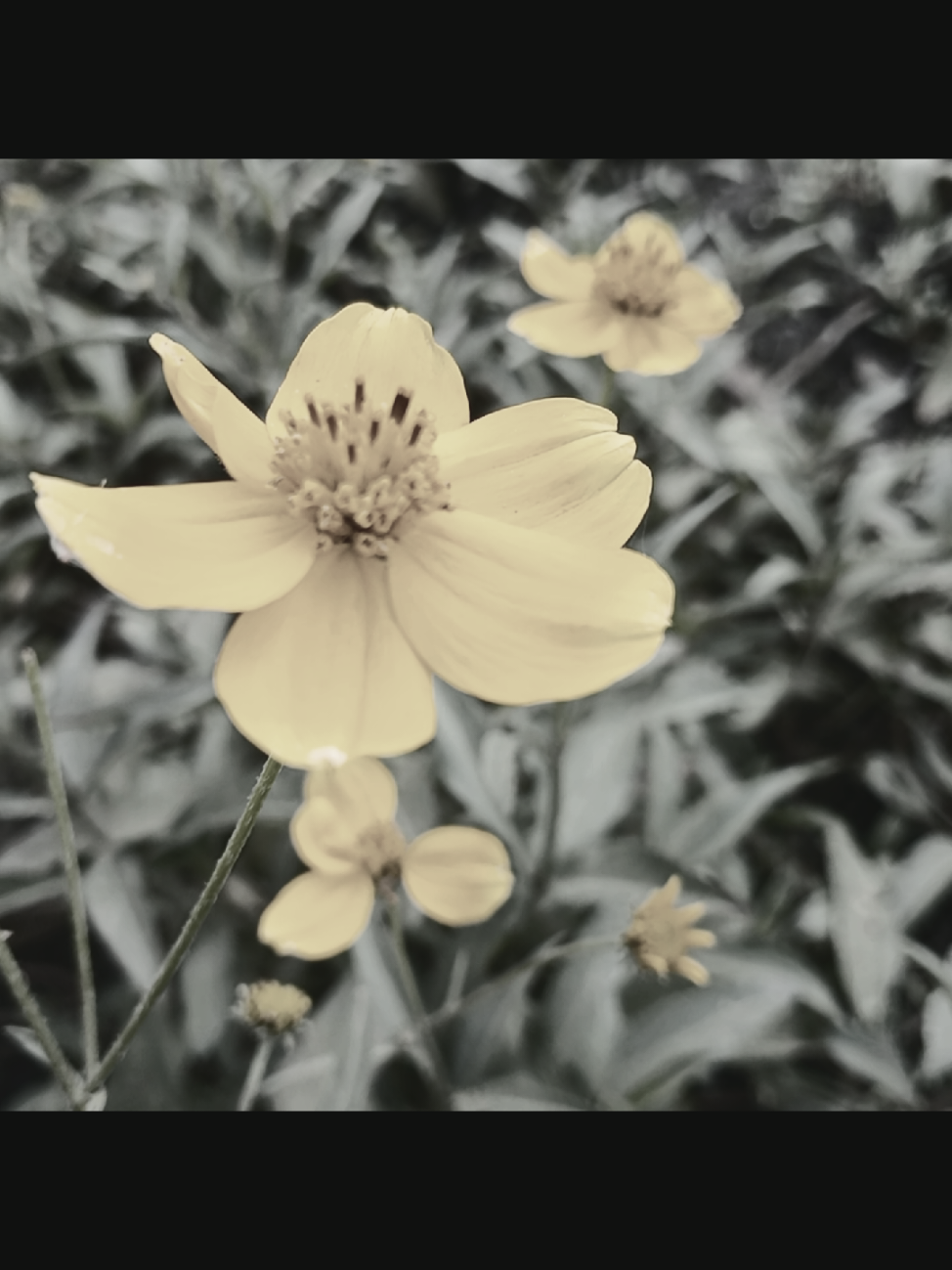 @𝙼𝚊𝚛𝚢𝚜💜.