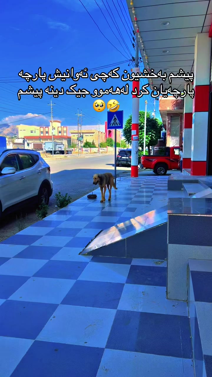 @Shiraz qaladzayنەوەی نوێ✌️🧡