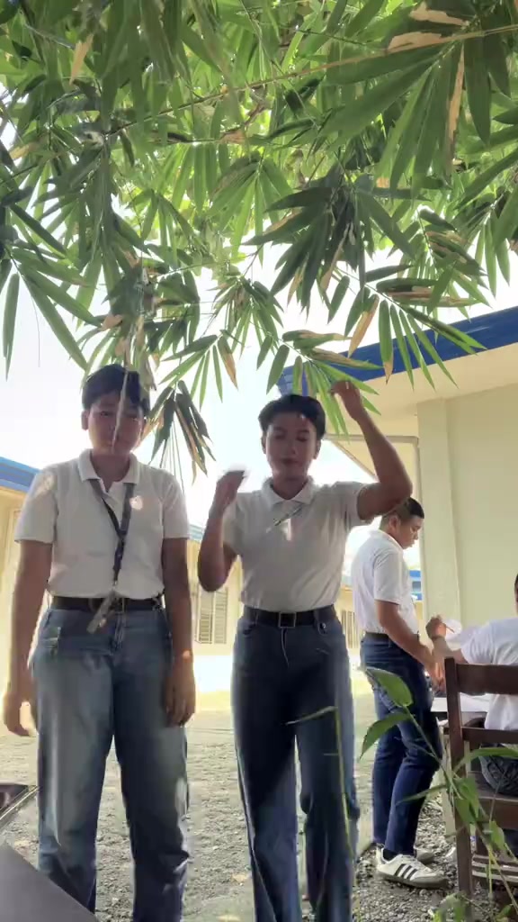 @lycs