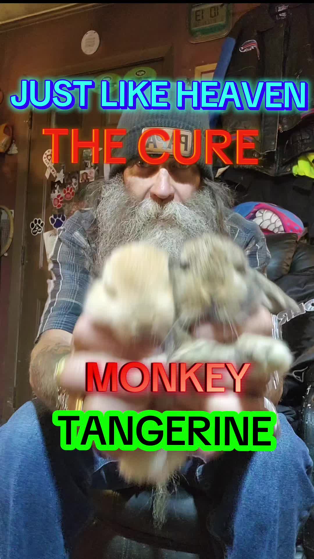 @Deesell