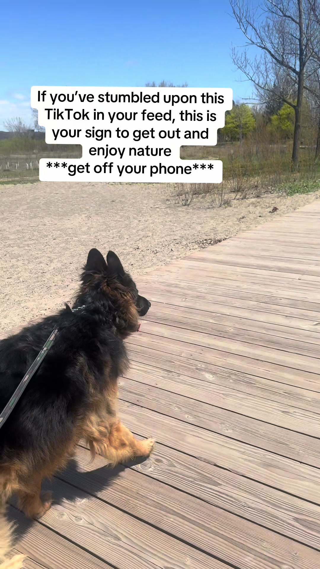 @ksdoggos