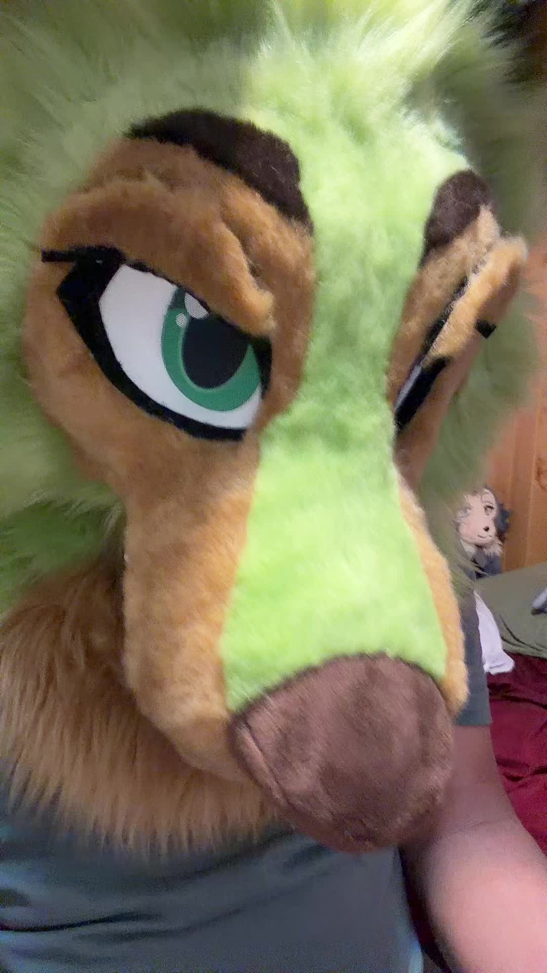 @Makó Suki => ✈️Fur-eh!