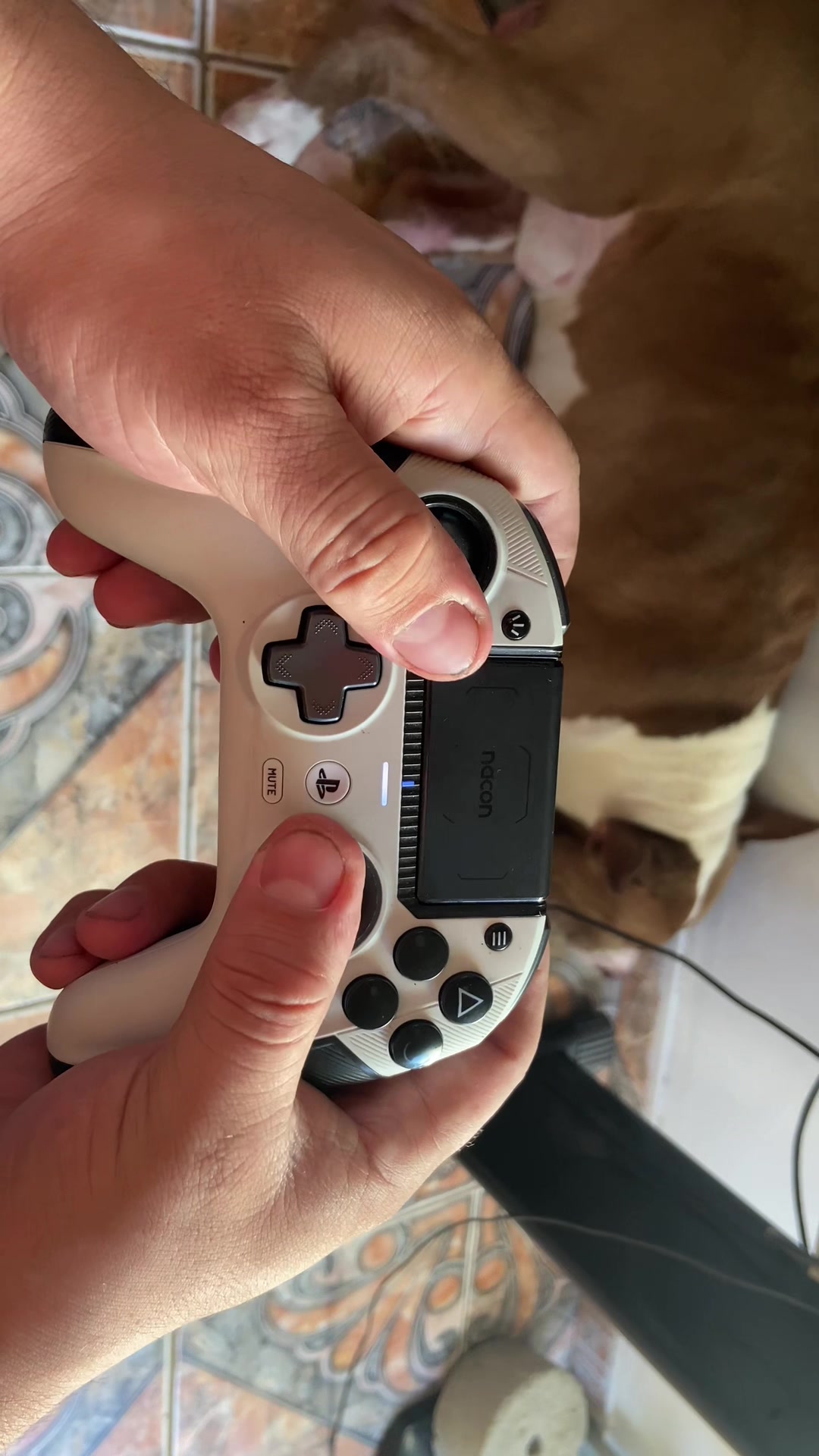 @K9 Play🎮