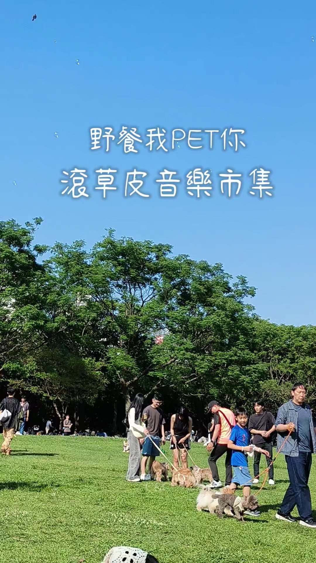 @用户2247762411571