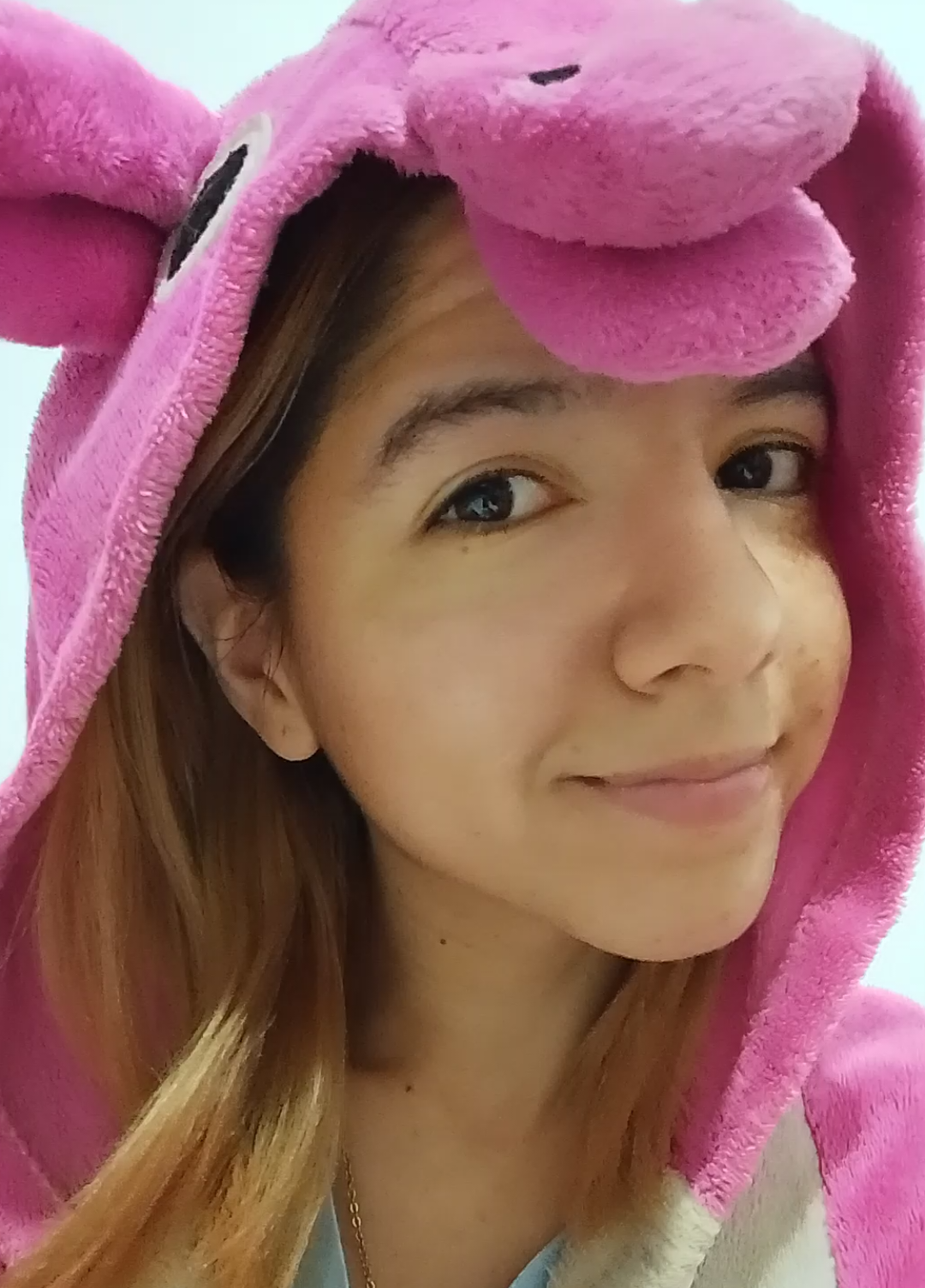 @Barbara Echeverria