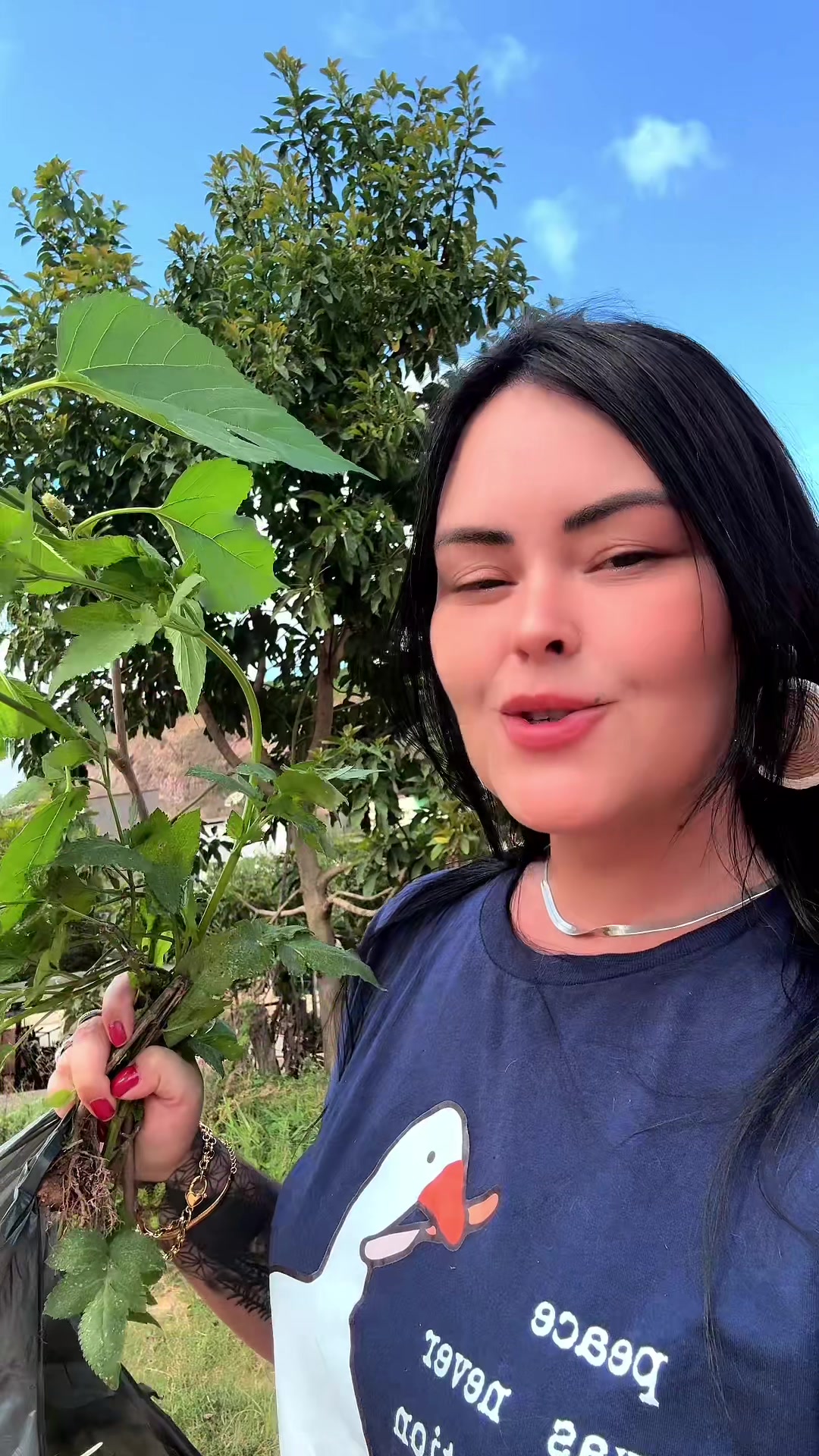 @Videbochada