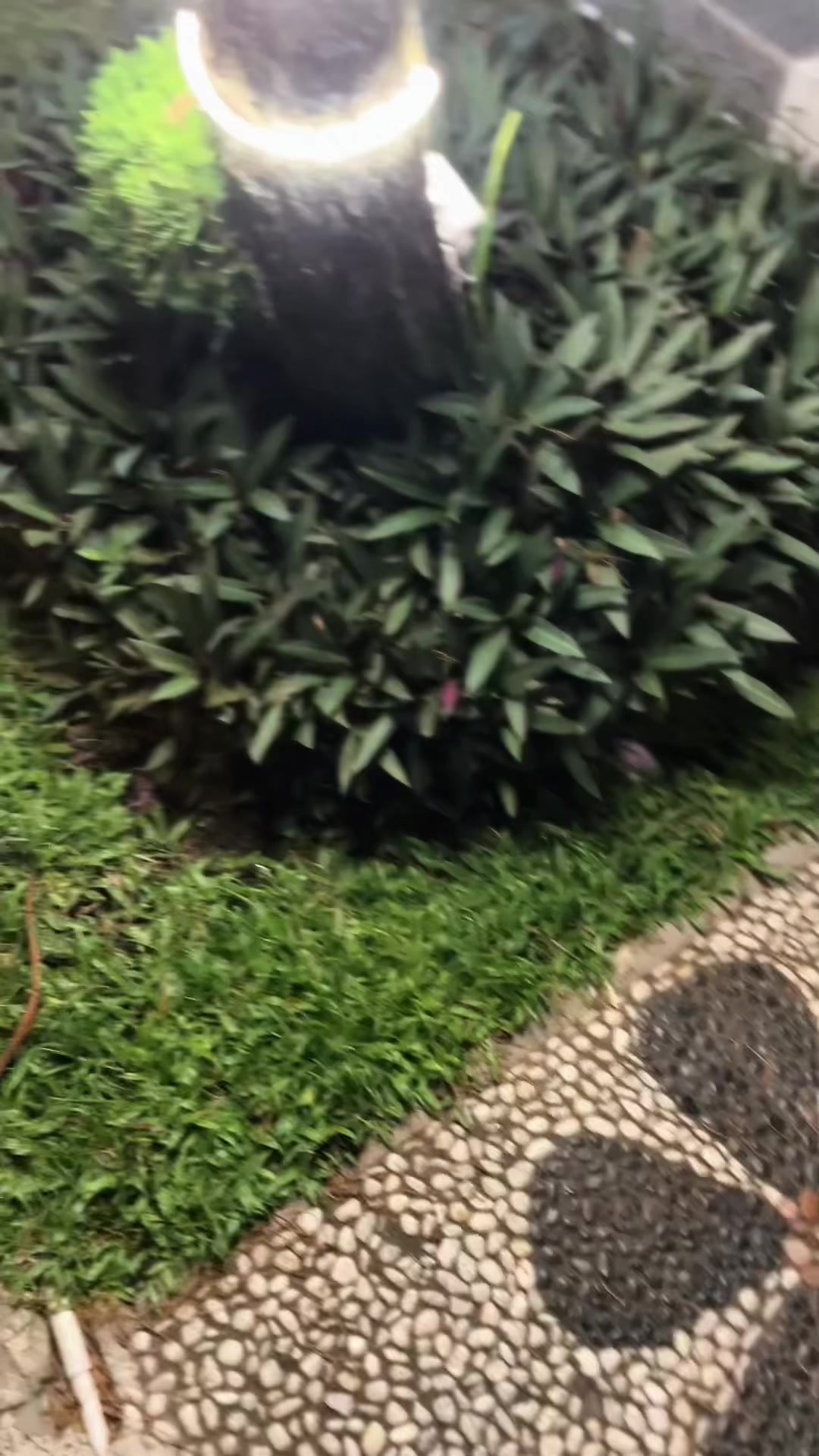 @Vnz💥