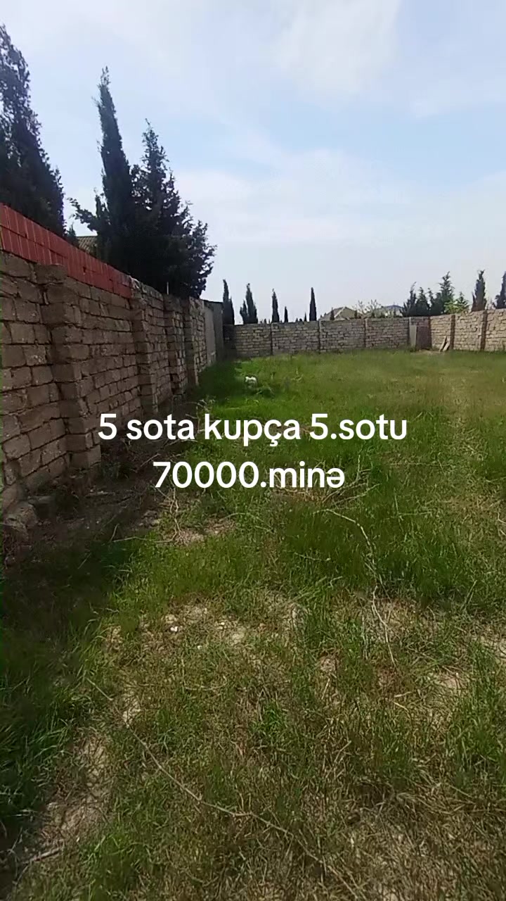 @Buzvna.əmlak.041