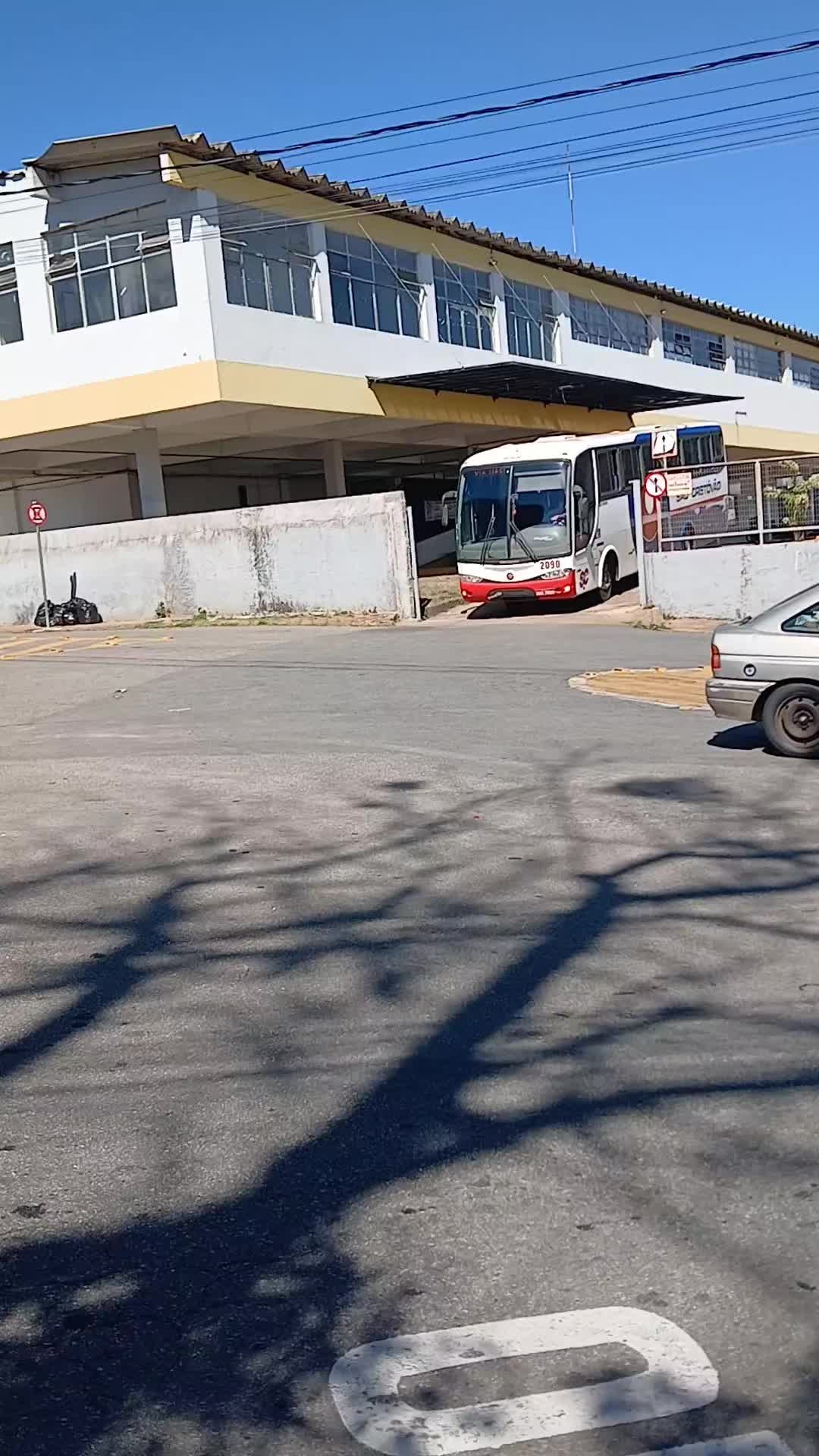 @Anynha Auxiliar de 🚍