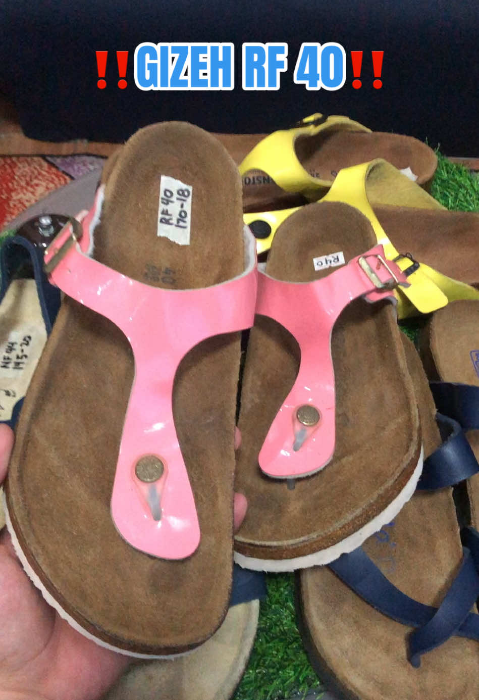 @DAILY BIRKS