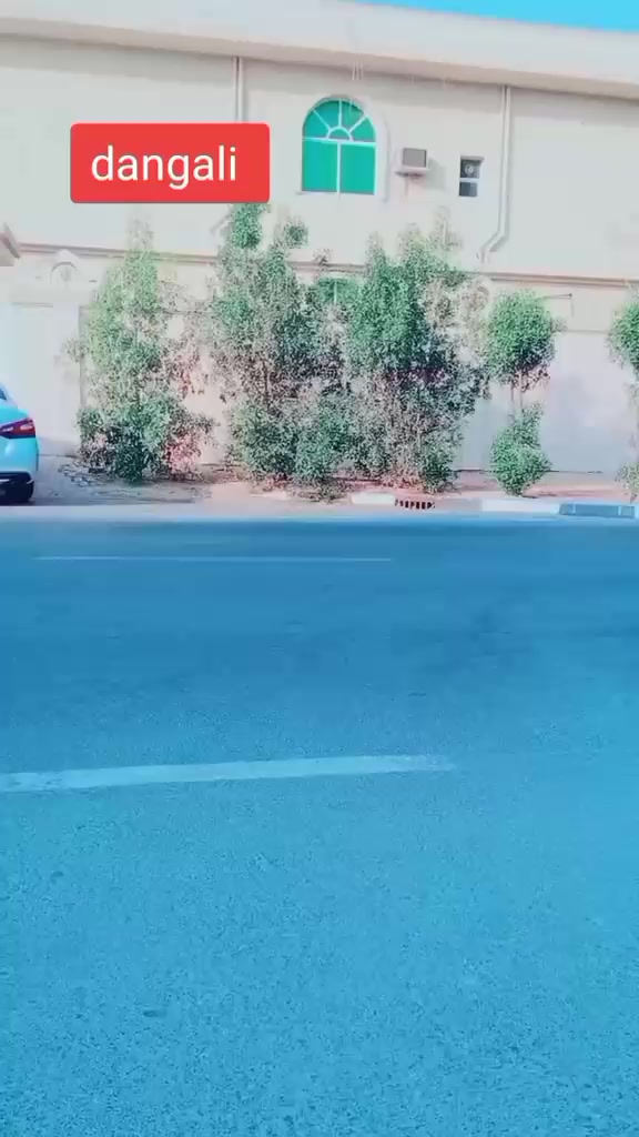 @BIMALA dukhi zindagi😭