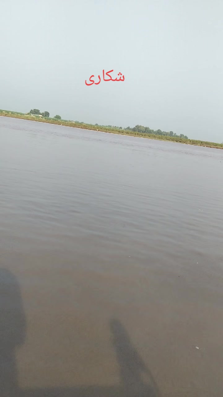 @shahbaz Punjabi 0786
