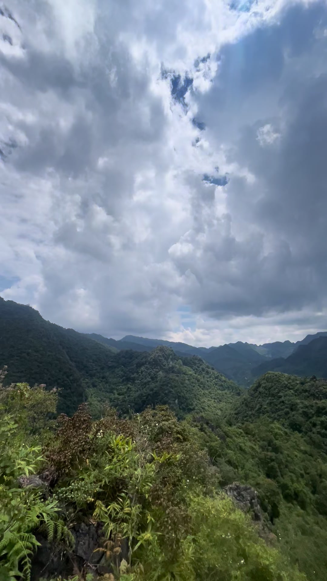 @LÍU 🇻🇳☣️
