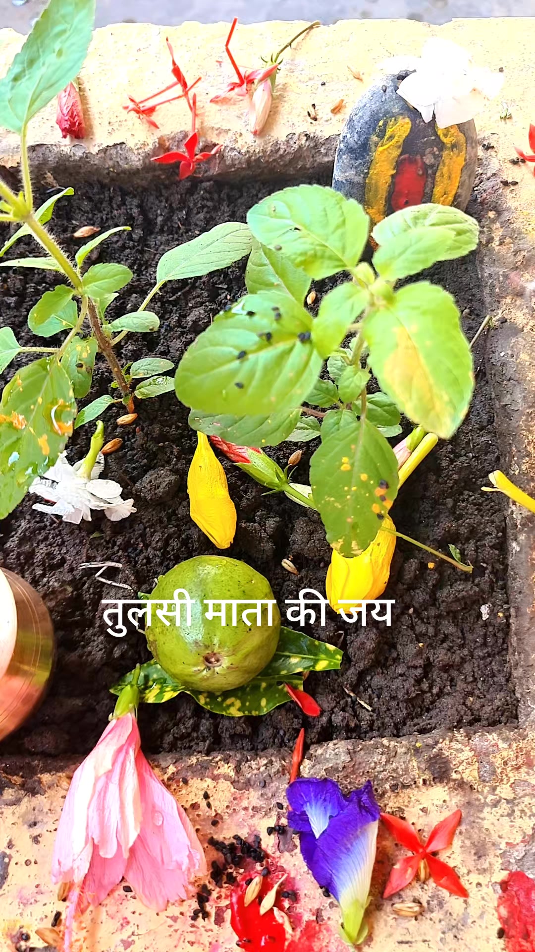 @Kaushila Adhikari