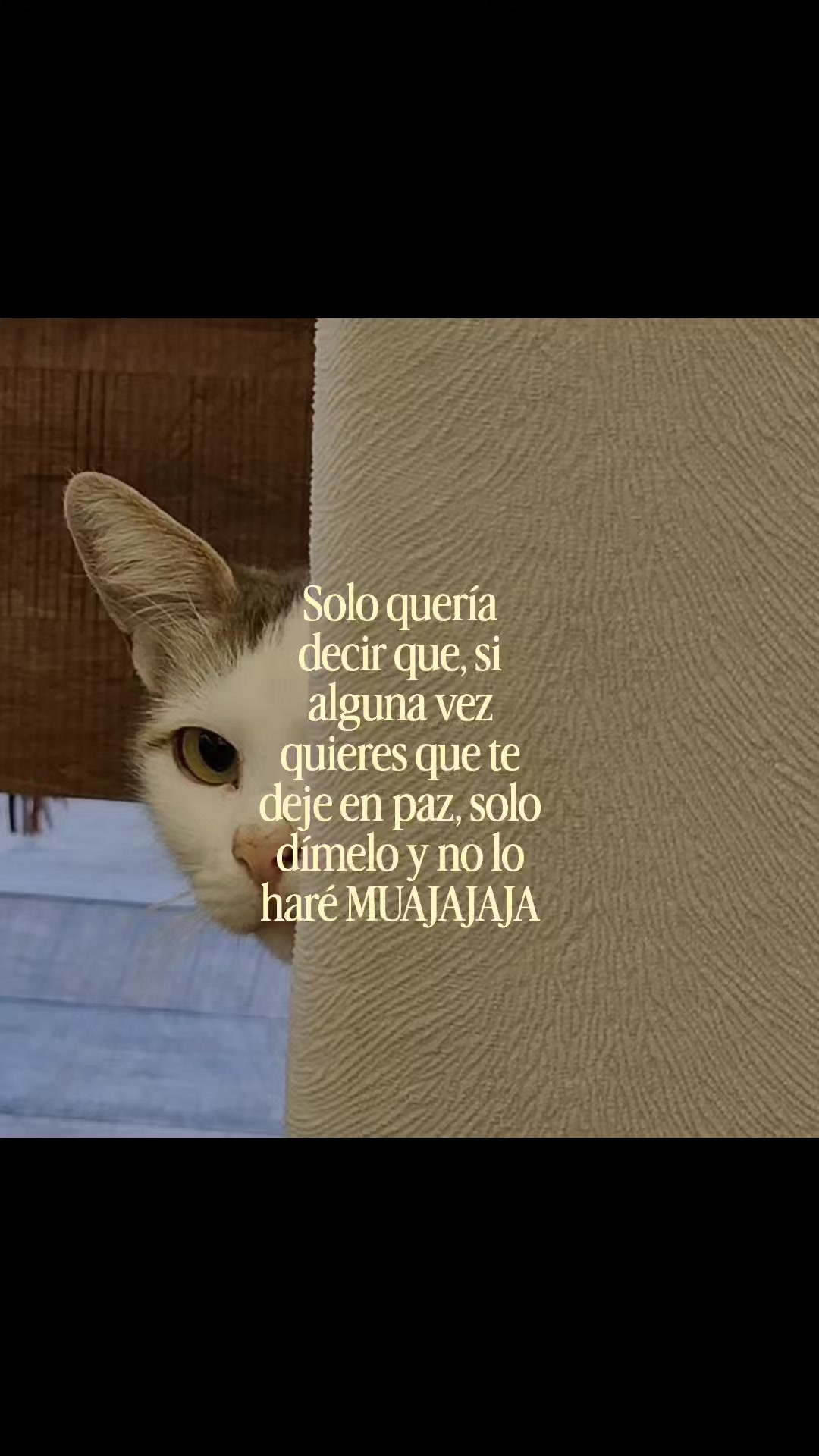 @goodvibessxd