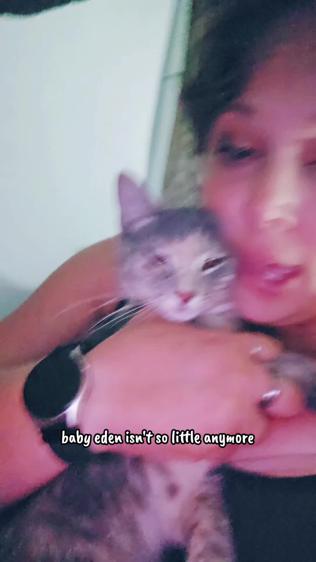 @Insane Cat Queen