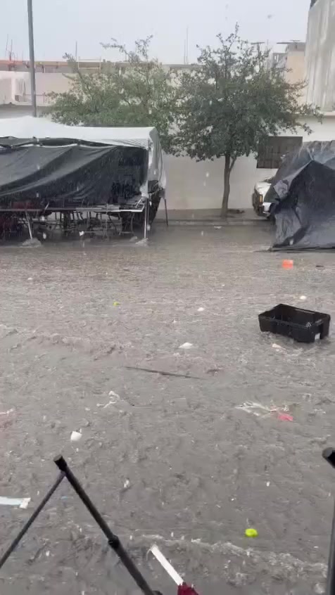@Tamaulipas al Día
