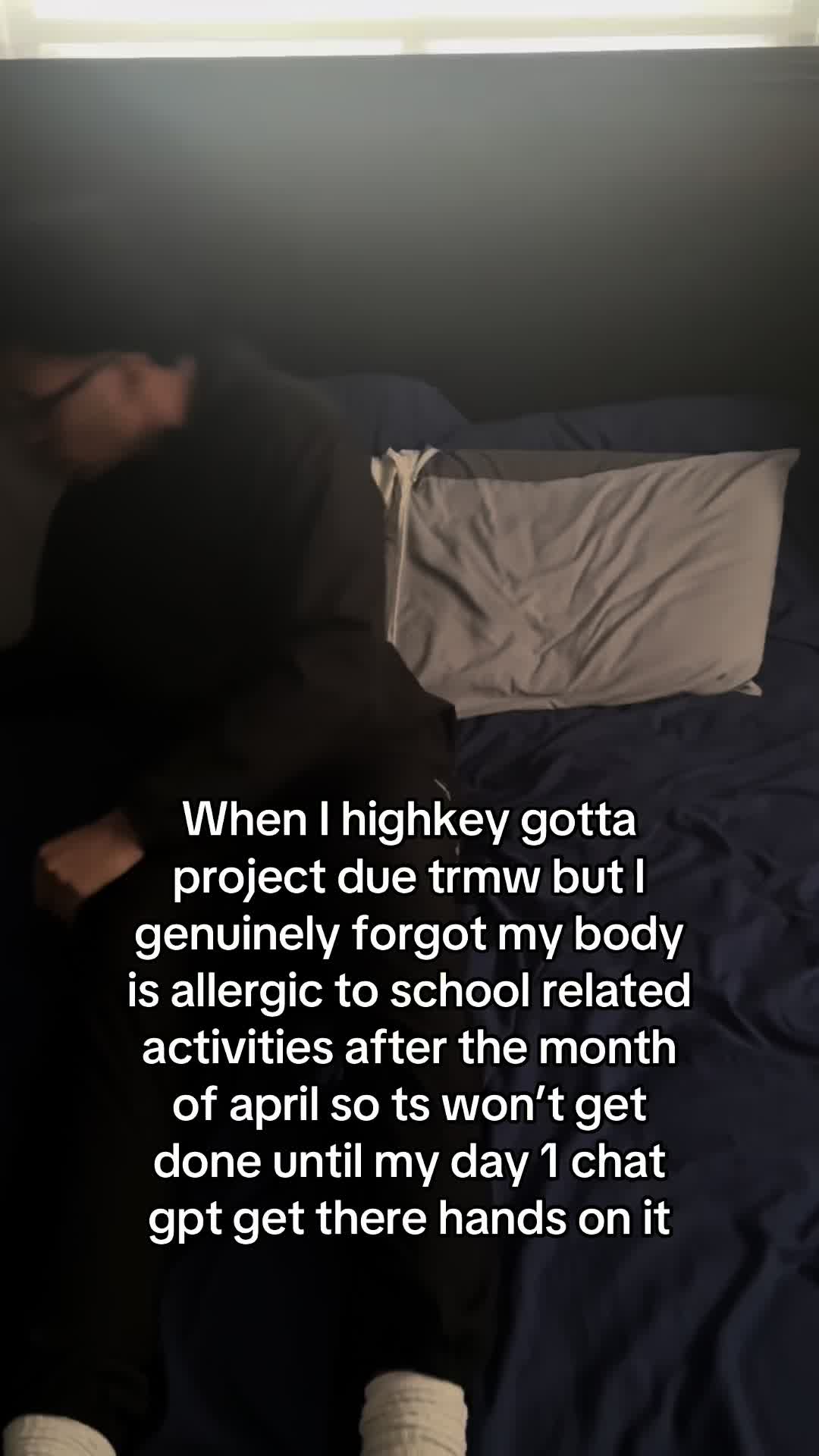 @Campedlundy