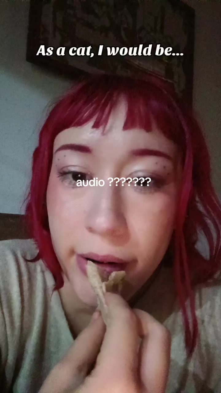 @Zinnia