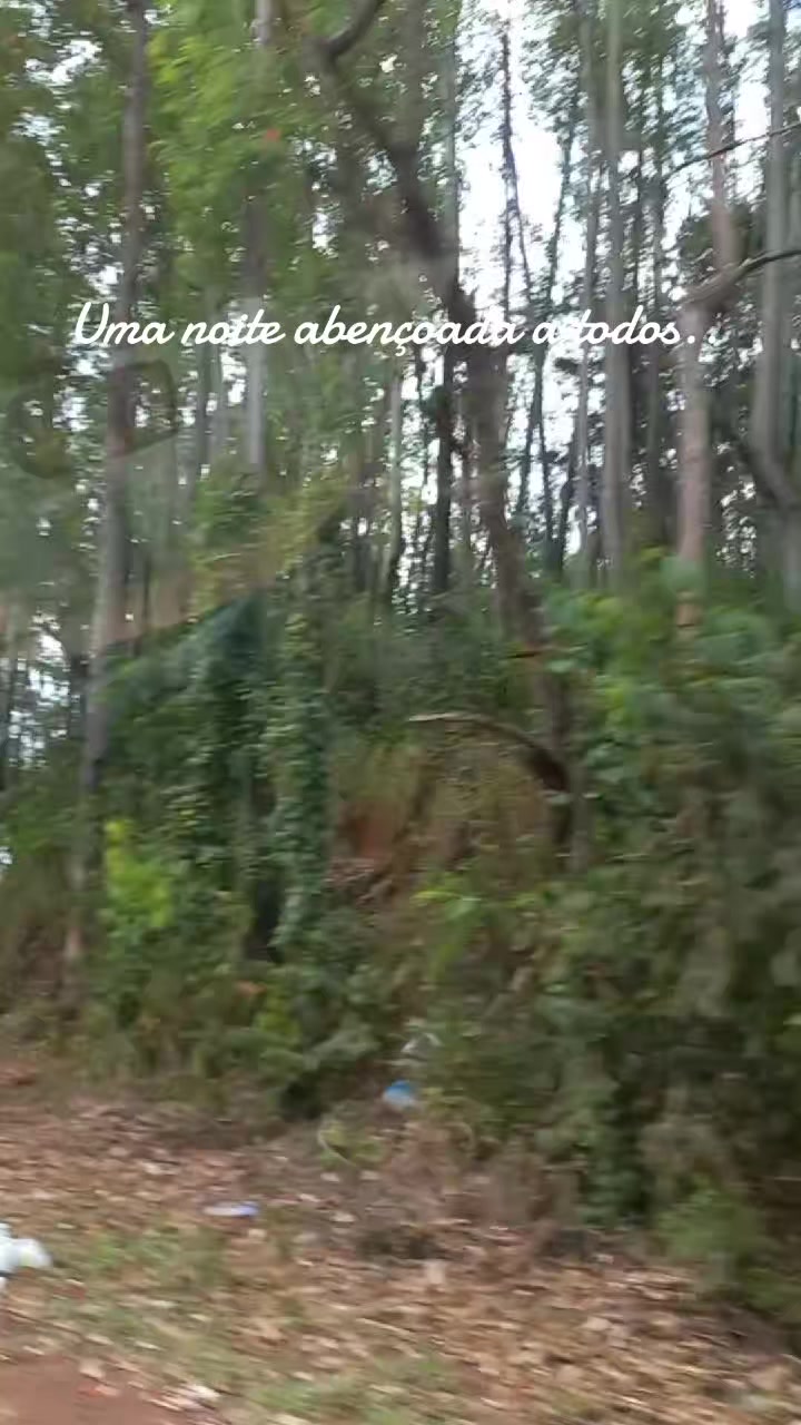 @Marlene Alves