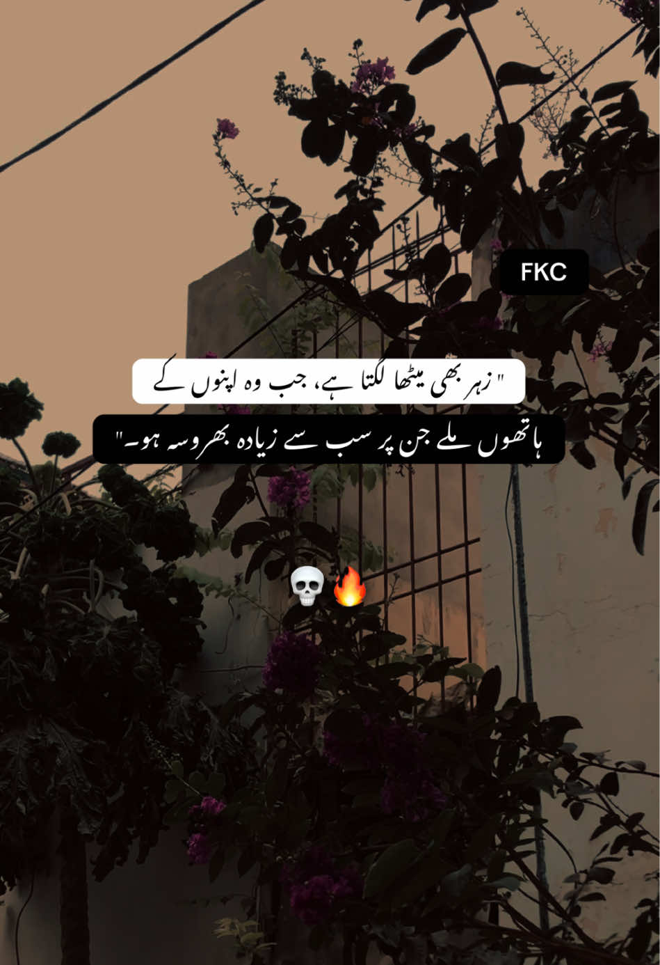 @i_cloud42