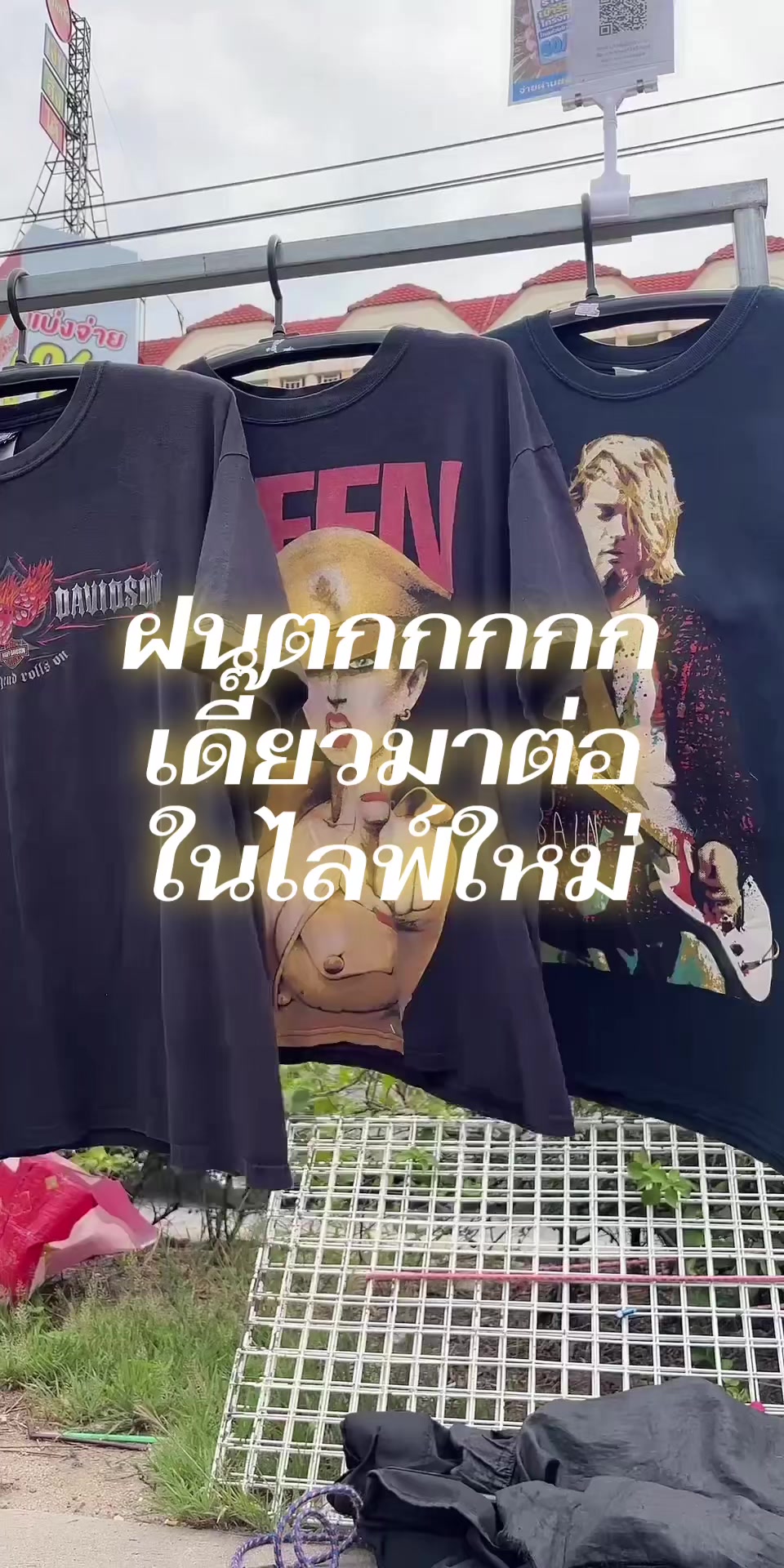 @เฟิร์นไปทั่ว