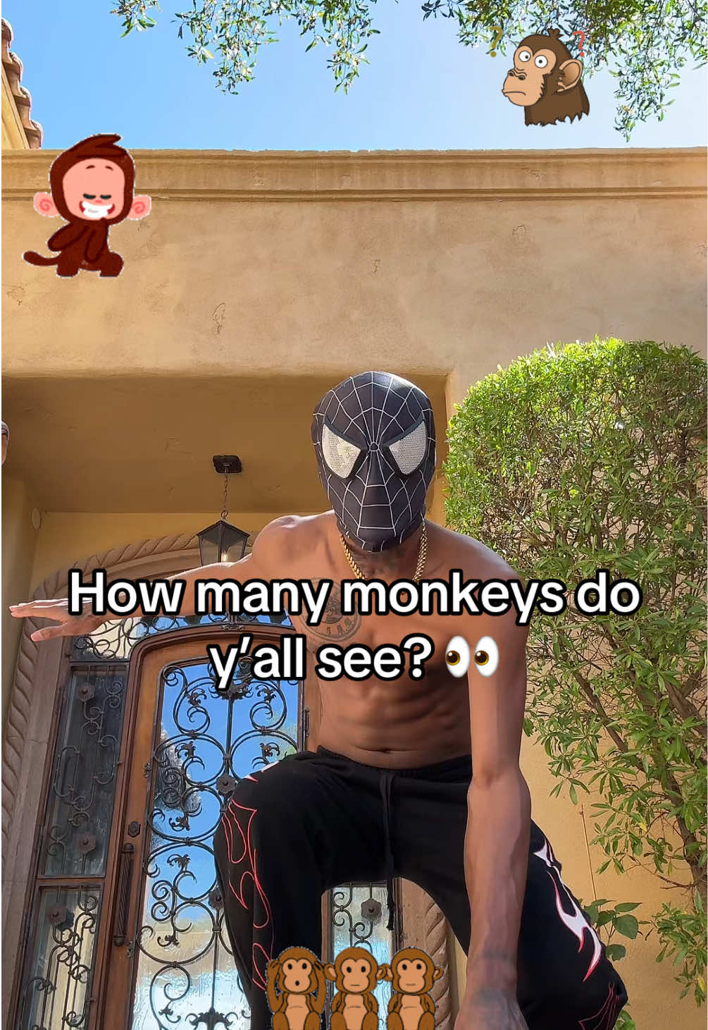 @SPIDA 🕷️
