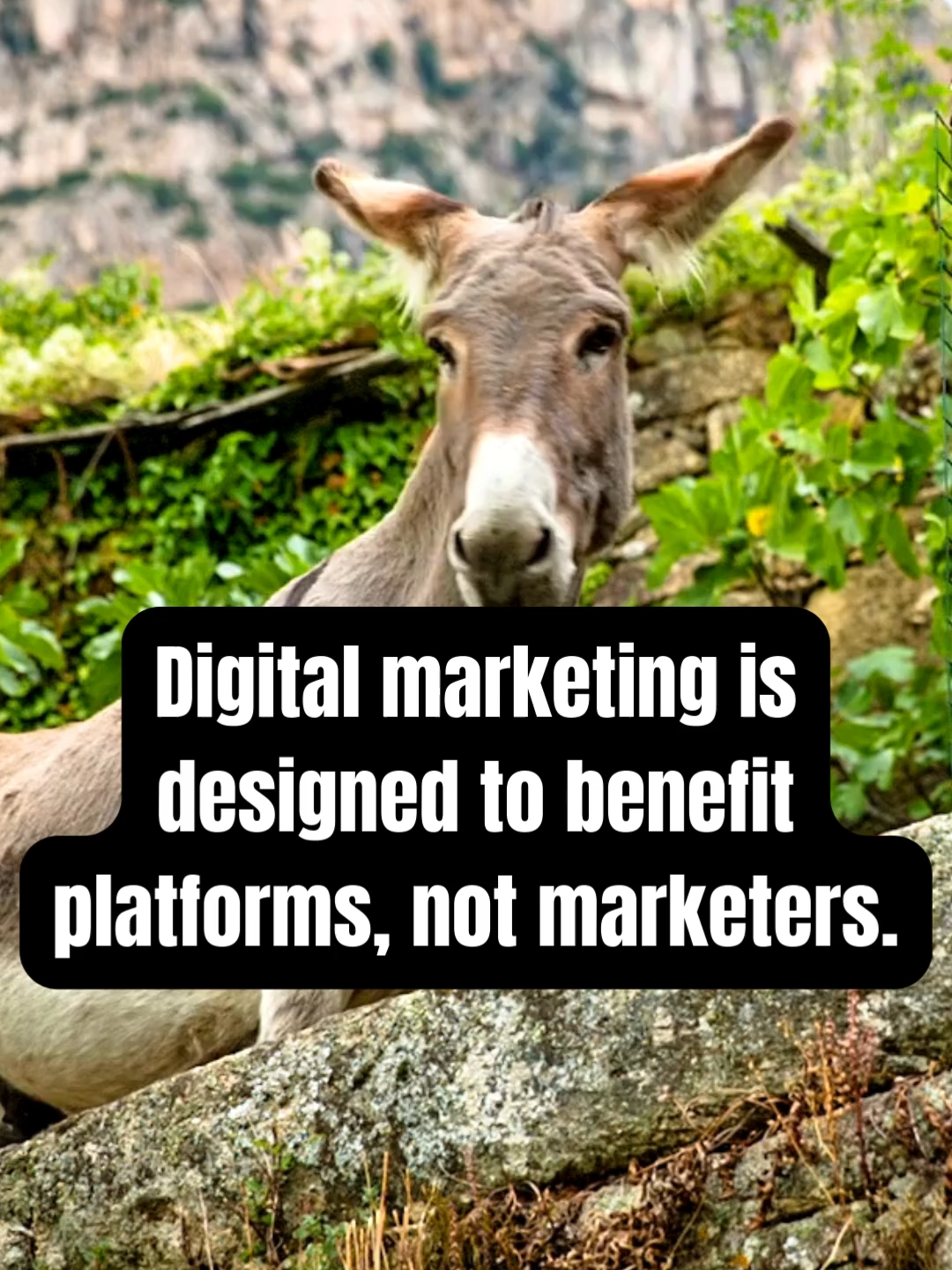 @Digital Marketing Pros ✨