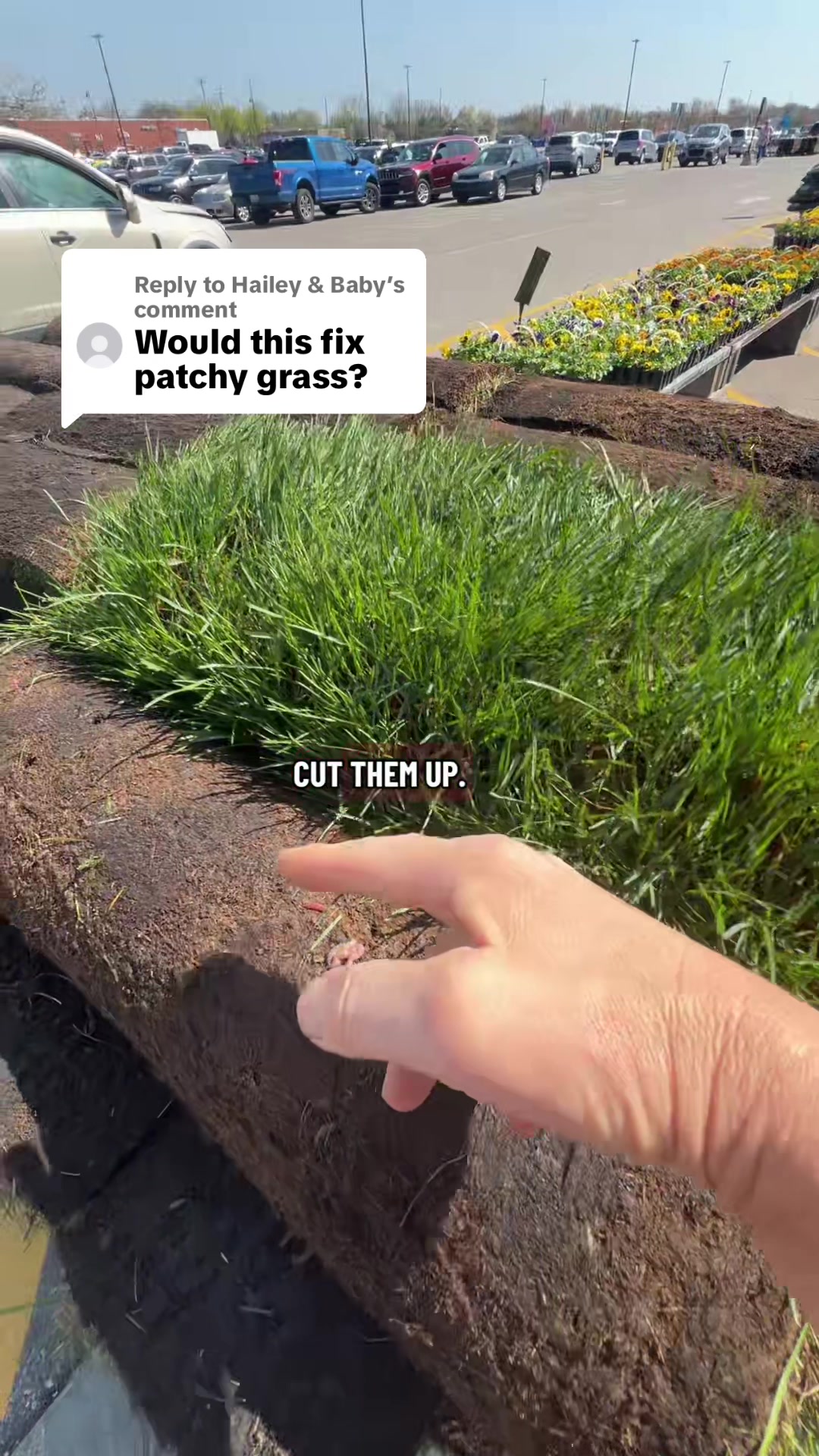 @Mrrice🌾