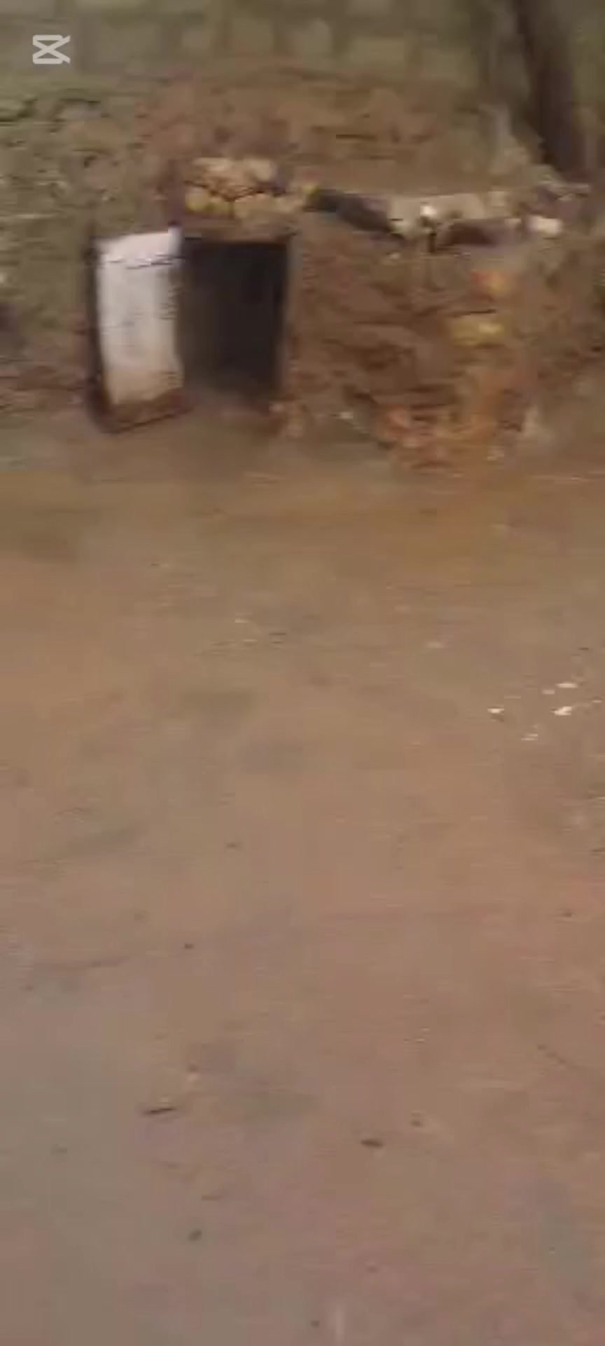@سعيد نظير العزعزي