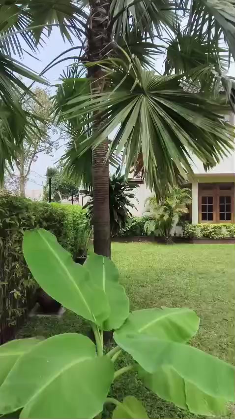 @julie7property