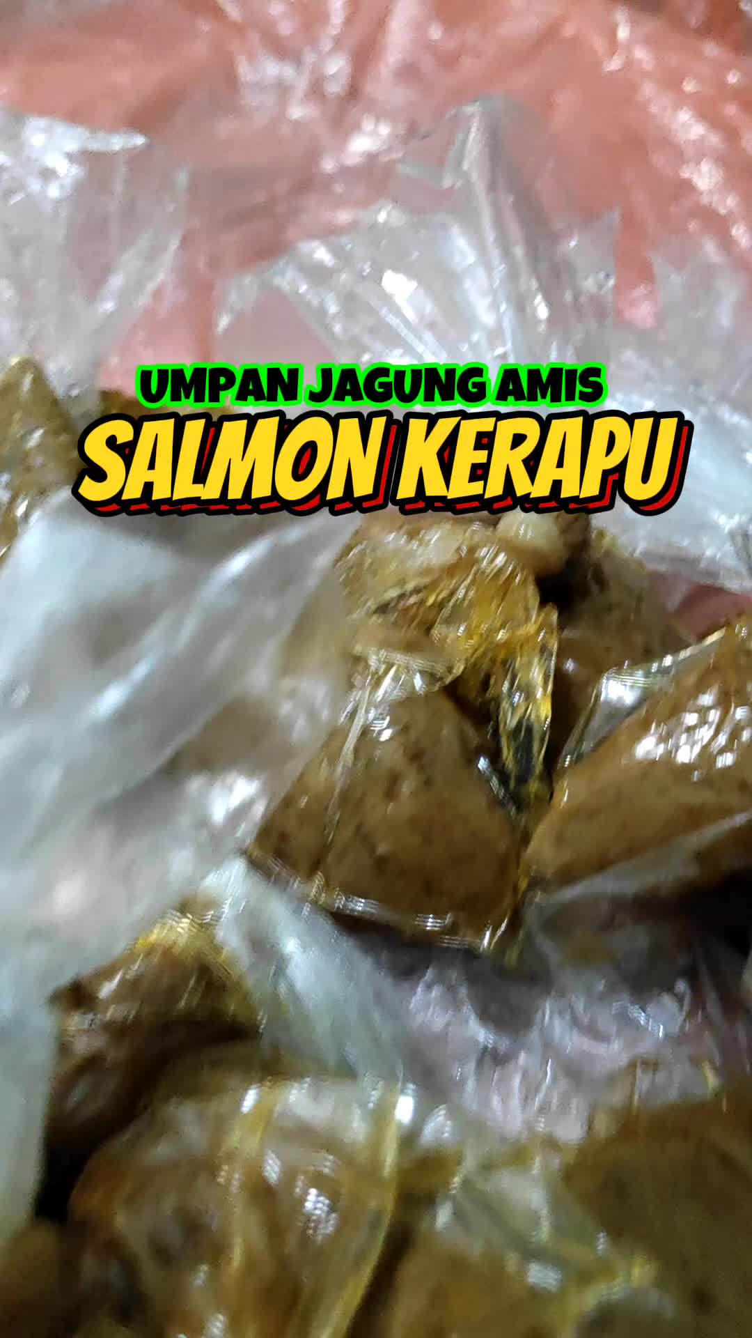 @Bohongin Ikan Channel